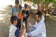 چایپاره : اجرای طرح نمونه گیری و پایش بیماری آنفلوانزای فوق حاد در طیور بومی شهرستان 